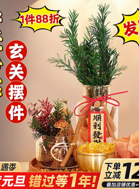 入户门玄关装饰肉桂生财搬家旺宅