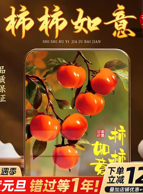 柿柿如意摆件摆台装饰画轻奢高端