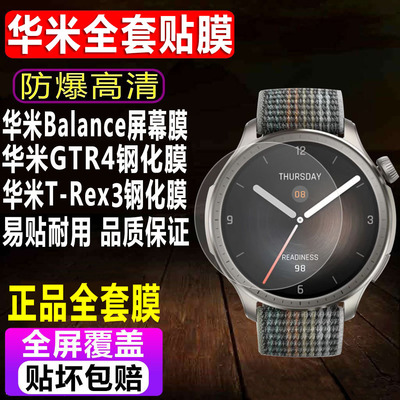 华米Balance2/GTR4/T-Rex3钢化膜