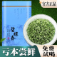 碧螺春茶叶绿茶早春新茶苏州明前罐装 毛尖特产浓香型碧螺春共500g