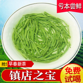 半斤 绿茶毛尖茶叶信阳春茶嫩芽毛尖浓香型罐装 品牌 2025新茶