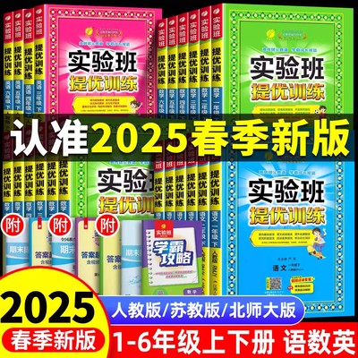 小学实验班提优训练下册