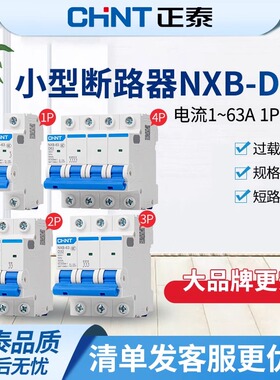 正泰D型空气开关NXB-63小型断路器1空开2单相3三相4P DZ47动力