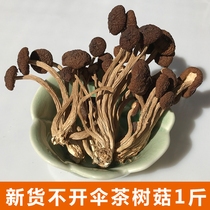 Fresh tea tree mushroom without umbrella 500g Jinggang shiitake dried special short tea firewood mushroom