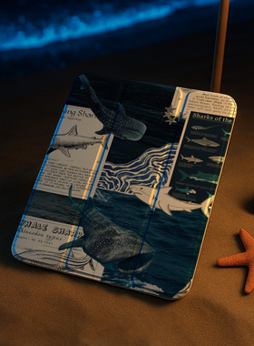 720旋转ipadair7/6保护壳亚克力鲸鲨鱼2025Pro套11寸一体带笔槽10透明第11代适用华为平板matepadair12保护套