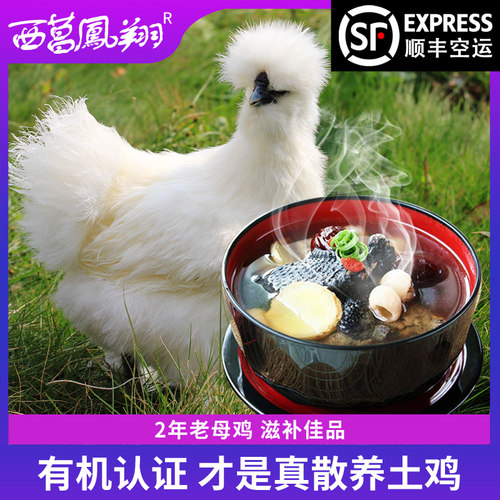 有机新鲜泰和乌鸡现杀现发