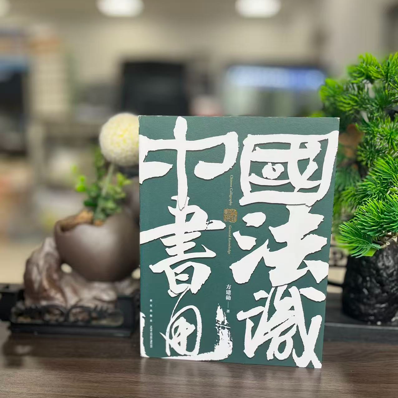 微瑕--中国书法通识9787513352383新星