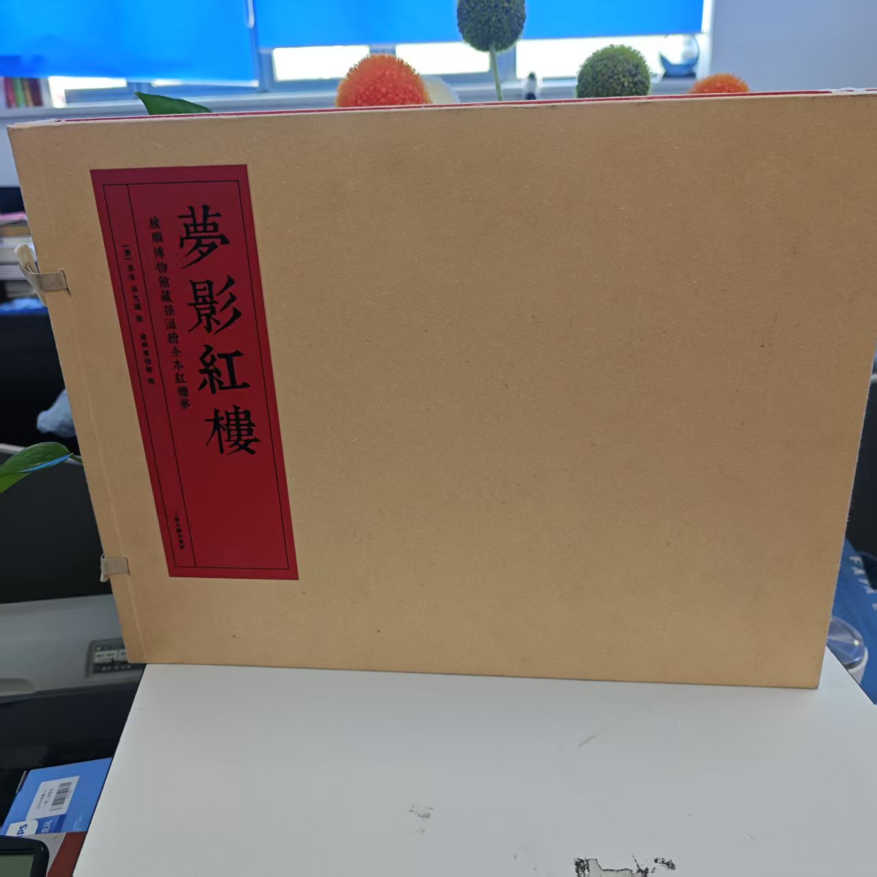 微瑕--旅顺博物馆藏孙温绘全本红楼梦·梦影红楼(共两册)(精装)9787532583126上海古籍