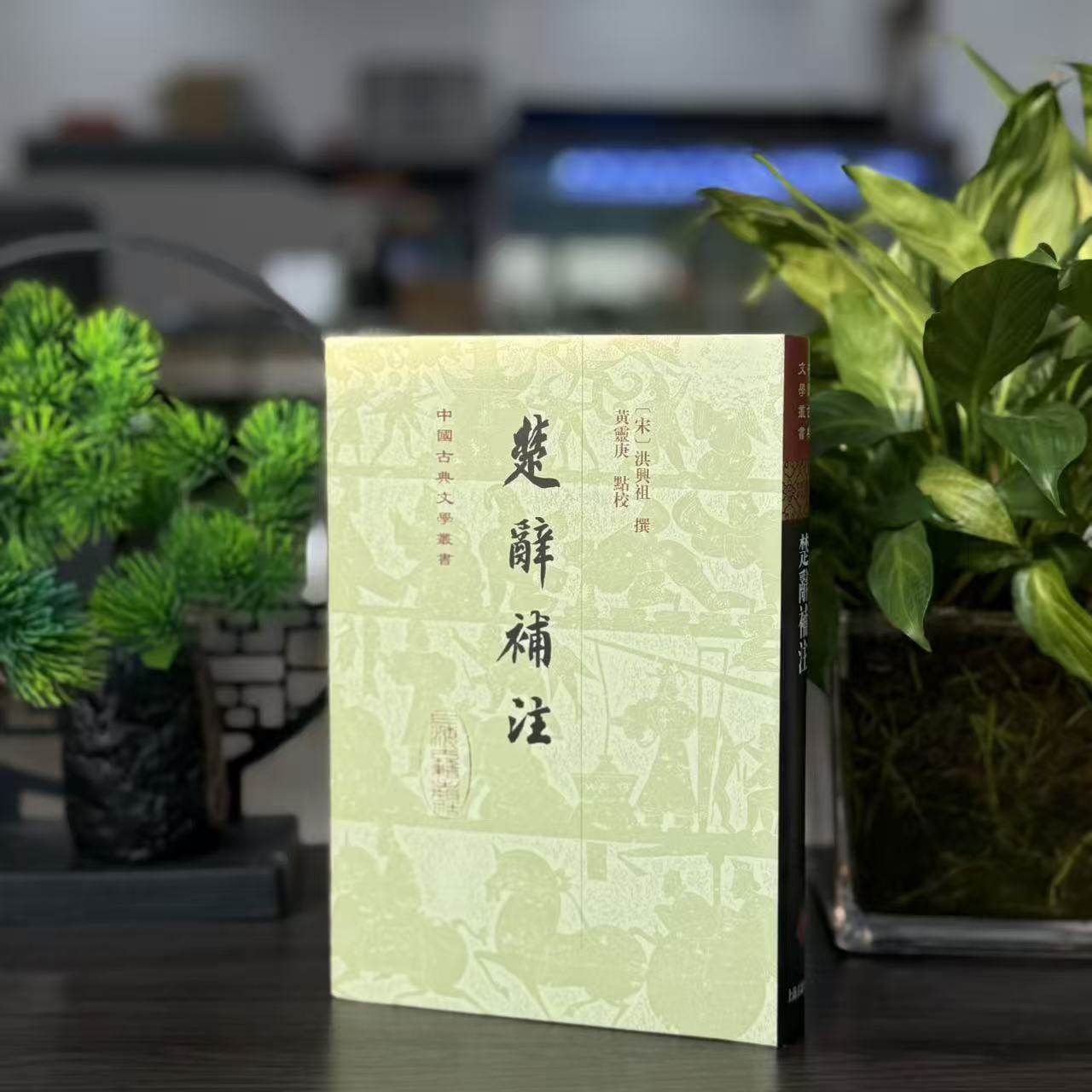 楚辞补注（精装）上海古籍