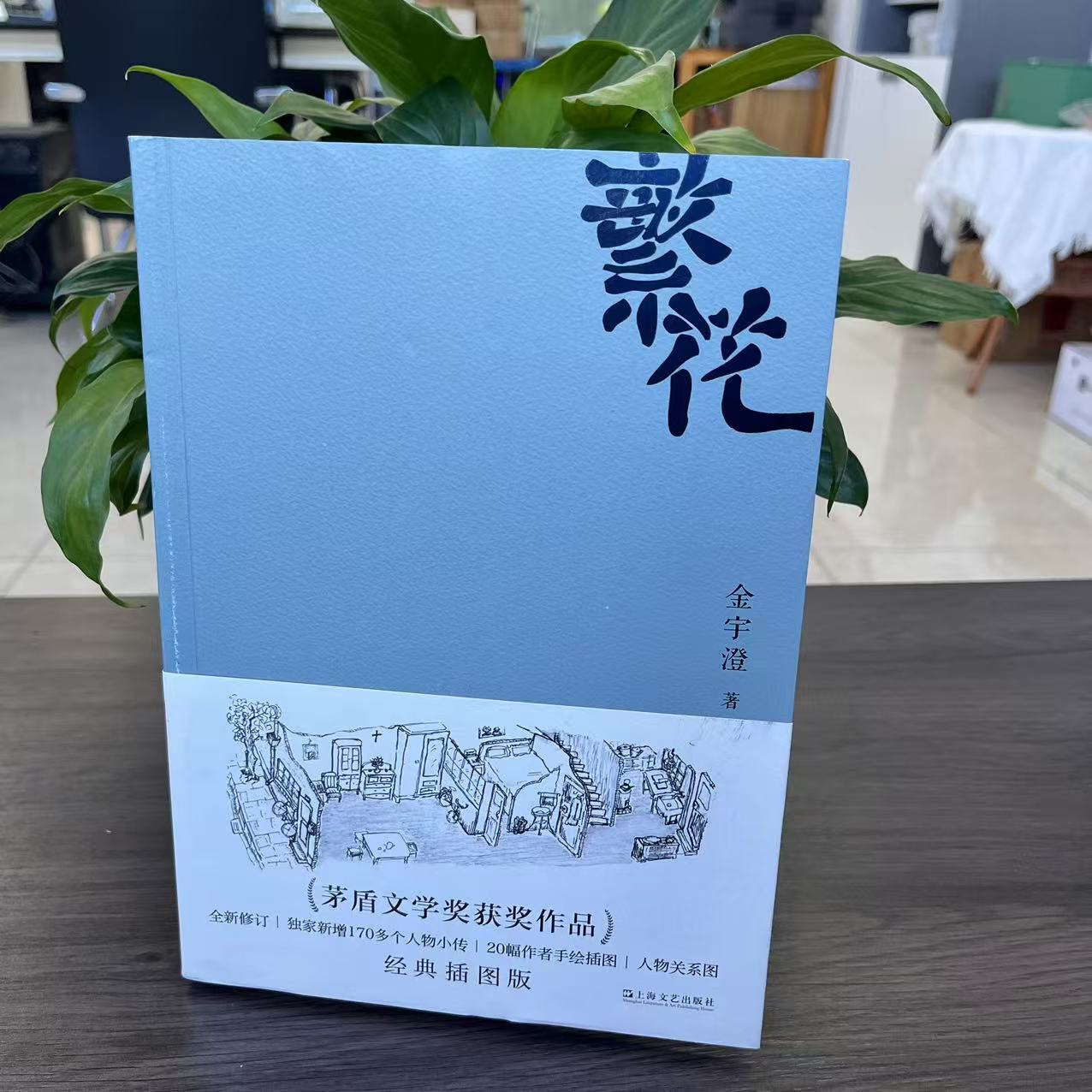 微瑕正版繁花书金宇澄著