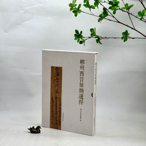 郴州西晋简牍选粹978753