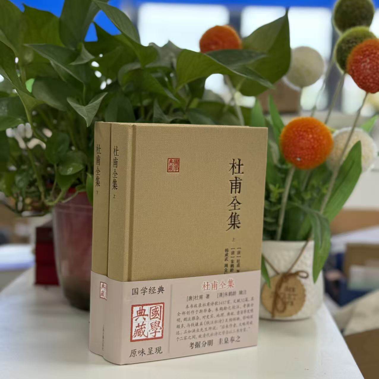 正版现货--国学典藏:杜甫全集(全二册·精装)9787573216236 上海古籍