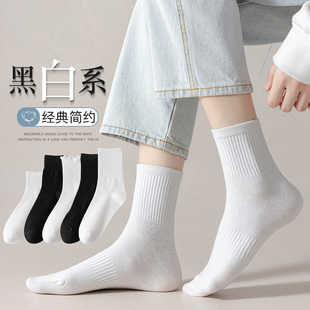 薄款 白色袜子女夏季 长筒袜女黑色中筒袜女士高筒袜夏天棉袜长袜女