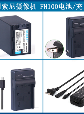 适用于 索尼锂电池HDR-CX520E CX100E CX105E CX500E CX106充电器