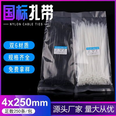 新光尼龙扎带4*250自锁式卡扣