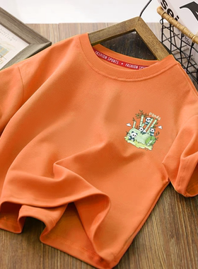 男童短袖t恤2024童装中大童男孩子纯棉12上衣儿童13运动夏装15岁9