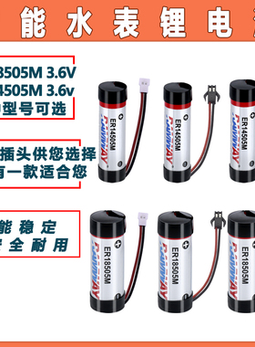 睿奕RAMWAY智能水表电池ER14505 18505M 防水装IC卡热水冷水表 3.6V锂电池