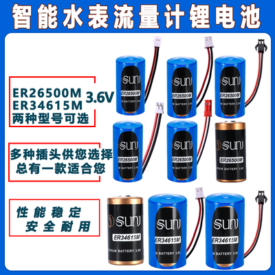 适用双洎ER34615M/ER26500M电池流量表冷水表智能物联网1号/2号C/D型流量计设备3.6V锂电池