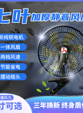车载风扇24V大货车强力制冷大功率12v汽车双头车内超静音电风扇