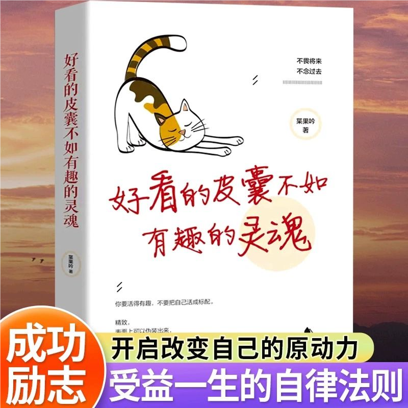 【官方正版】好看的皮囊不如有趣的灵魂青春文学人生哲学故事成功励志不畏将来不念过去女性成功励志自律 气质女孩恢复能量DFWL