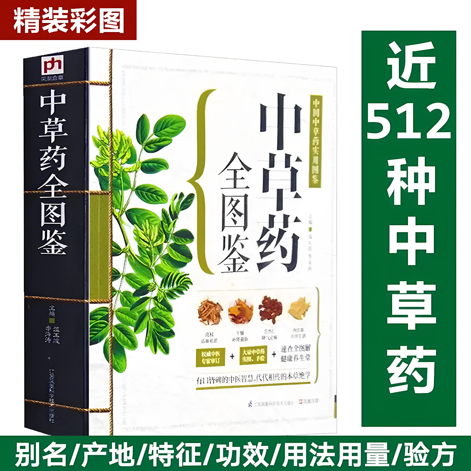 中草药全图鉴正版千金方 汤头歌决 彩色图解版中药材识别入门中国中医医学自学书籍中草药大全常用中药养生功效药方健康类方剂KBCT