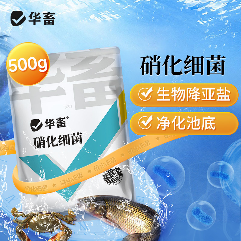 华畜硝化细菌水产养殖专用鱼塘消化细菌鱼用养鱼水质净化剂硝化菌