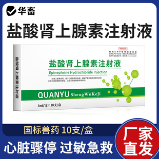 华畜盐酸肾上腺素兽药急救针兽用强心针马牛羊猪用注射激素应激药