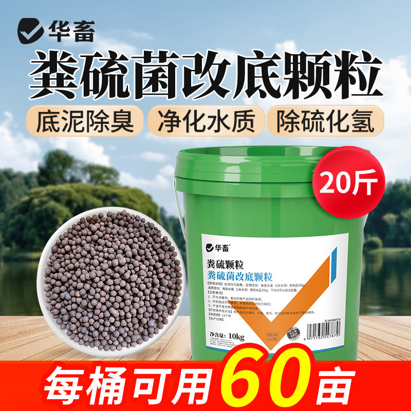 华畜粪硫菌颗粒水产养殖鱼虾蟹过硫酸氢钾净水片改底王生物底改DB