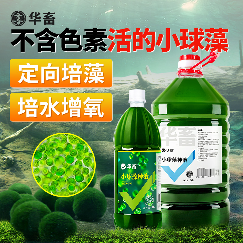 华畜小球藻藻种浓缩藻种复合藻种肥水培藻增氧水产养殖专用小球藻