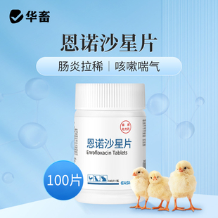 华畜救禽四件套鸡鸭鹅用抗菌消炎感冒发烧咳嗽拉稀广谱抗菌药DB
