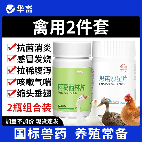 华畜兽用阿莫西林恩诺沙星片鸡药鸡鸭鹅咳嗽拉稀消炎感染兽药禽用