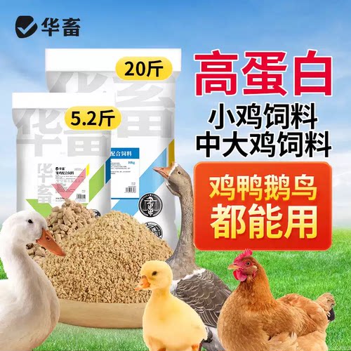 华畜小鸡饲料批发破碎颗粒