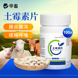 华畜兽药土霉素片粉兽用鸡鸭狗狗用宠物乌龟水族鱼药片养鸡专用X