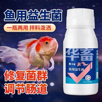 华畜鱼用益生菌锦鲤em菌调节肠道消化鱼池鱼缸水族用菌种饲料伴侣