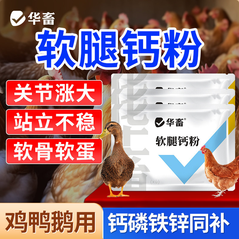 华畜软腿钙粉鸡鸭鸽鸟家禽养殖通用补钙有气无力走路不稳腿软无力