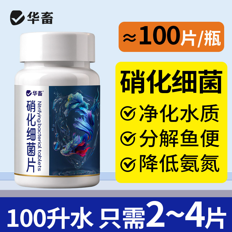 DB华畜硝化细菌鱼缸用专用胶囊净水剂活菌干粉水质稳定净化水族,宠物/宠物食品及用品,硝化细菌,淘宝优惠券,粉丝福利购,淘宝优惠卷