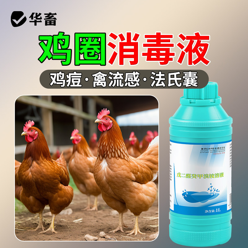 华畜兽药戊二醛溶液猪圈鸡舍养殖场消毒液剂非洲猪瘟消毒杀菌猪圈