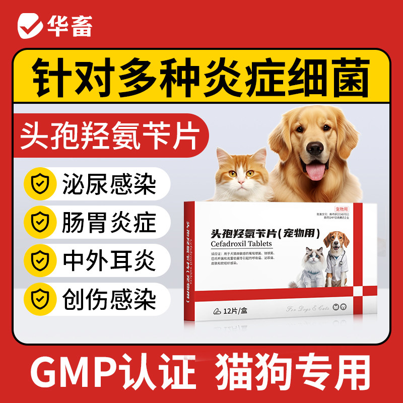 华畜宠物头孢羟氨苄片狗狗用消炎药猫咪用羟氨片伤口消肿止痛消炎,宠物/宠物食品及用品,猫特色药品,淘宝优惠券,粉丝福利购,淘宝优惠卷