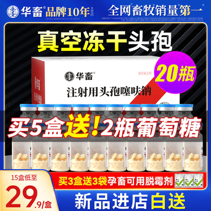 华畜兽药头孢噻呋钠兽用注射用液正品鱼腥草黄芪猪牛羊针剂消炎药 宠物/宠物食品及用品 家养大动物药品 原图主图