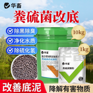 华畜粪硫菌改底颗粒水产养殖用硫化氢氧化菌硫细菌底改王生物底改