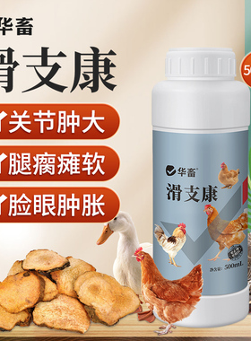 华畜滑支康滑支净鸡瘫软腿瘸鸡滑液囊鸭鹅支原体关节肿大站不起
