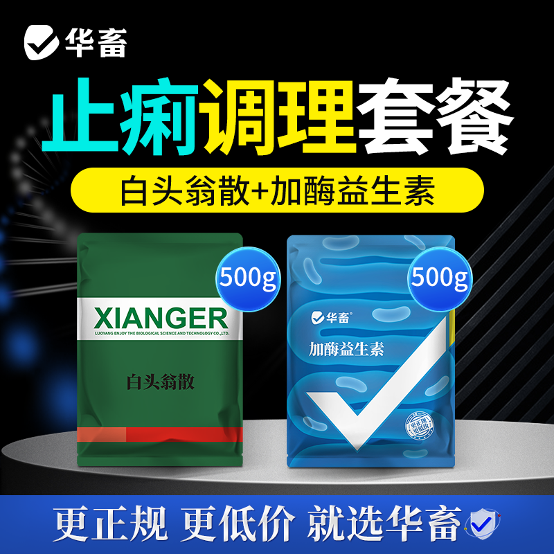 华畜白头翁散加酶益生素兽用套餐猪牛羊肠炎腹泻拉稀止痢调理肠道