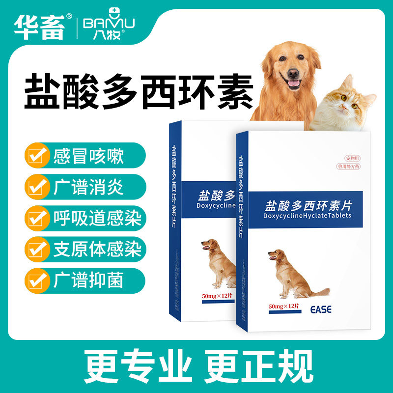 华畜猫咪专用感冒药咳嗽打喷嚏流鼻涕猫鼻支消炎药盐酸多西环素片,宠物/宠物食品及用品,猫呼吸道疾病药品,淘宝优惠券,粉丝福利购,淘宝优惠卷