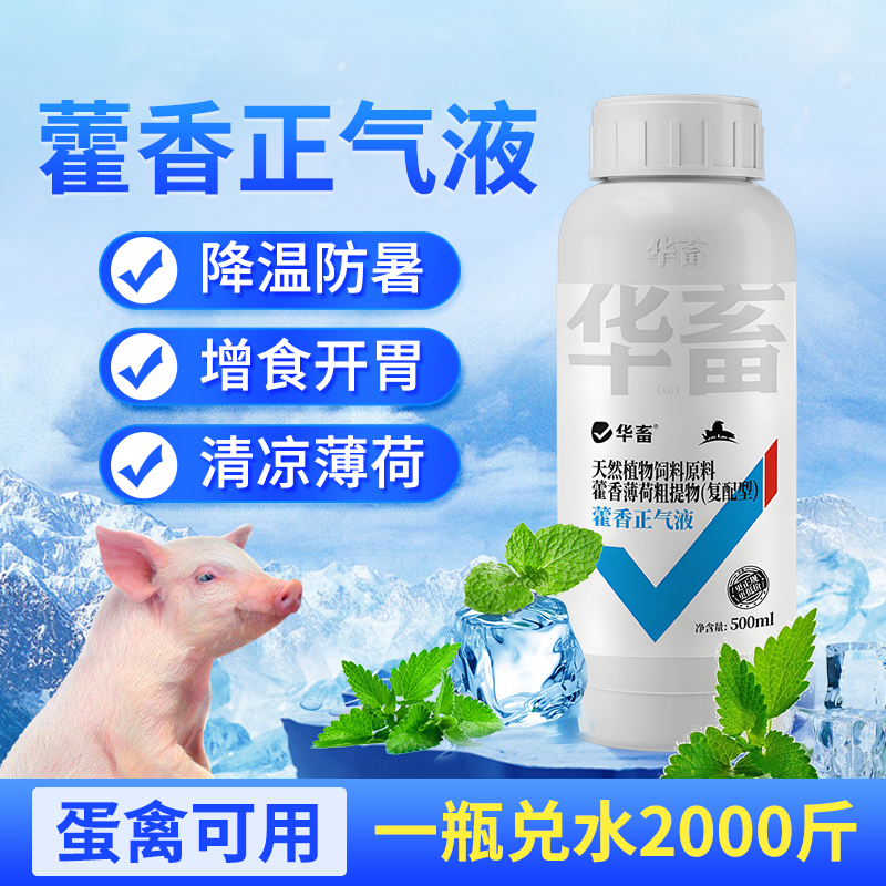藿香正气水兽用藿香正气液解暑
