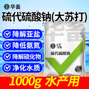华畜大苏打硫代硫酸钠水产养殖鱼塘去除余氯气降氨氮净化水质污水