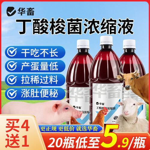 华畜丁酸梭菌浓缩液兽用