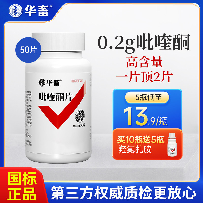 华畜吡喹酮驱虫药兽用鸡猪牛羊脑包虫绦虫打虫药吡喹酮片羊猫狗用