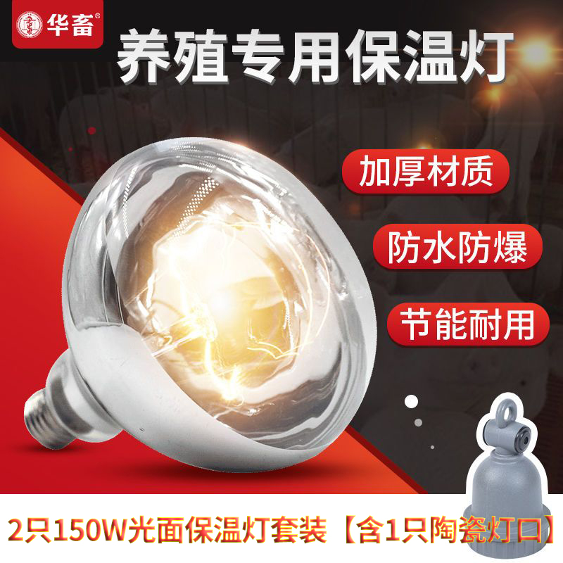 华畜兽用保温灯小鸡养殖场用小仔猪用取暖灯泡保暖灯猪场加热灯DB