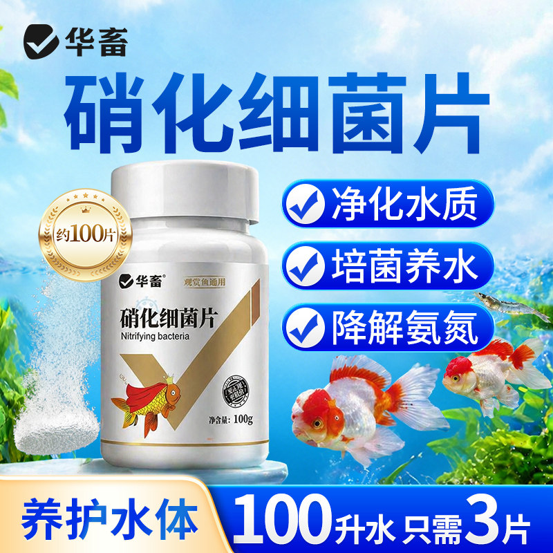 华畜硝化细菌片鱼缸用专用净水剂活菌干粉水质稳定净化水族鱼用