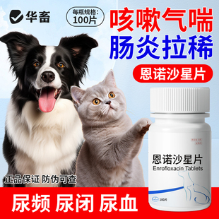 华畜恩诺沙星片口服猫咪尿闭尿血尿路感染狗狗尿道消炎泌尿结石药